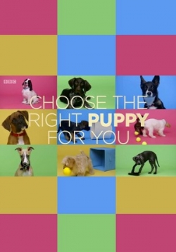 Как выбрать идеального щенка для Вас — Choose The Right Puppy For You (2016)