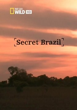 Неизвестная Бразилия — Secret Brazil (2012)
