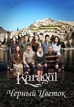 Чёрный цветок (Чёрная роза) — Karagül (2013-2016) 1,2,3,4 сезоны