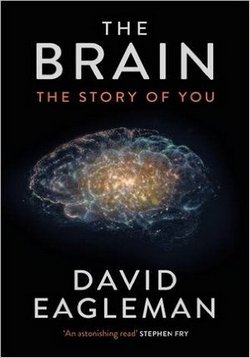 Мозг с Дэвидом Иглманом — The Brain with David Eagleman (2015)