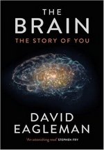 Мозг с Дэвидом Иглманом — The Brain with David Eagleman (2015)