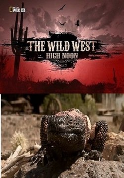 Дикий Запад — The Wild West (2012)