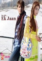 Два сердца, одна судьба — Do Dil Ek Jaan (2013)