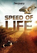 Скорость жизни — Speed of Life (2010)