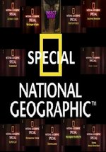 Специальный выпуск — Specials (2005-2009)