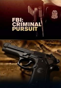 ФБР: Борьба с преступностью — FBI: Criminal Pursuit (2011-2012) 1,2 сезоны