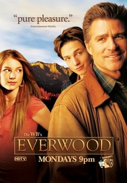 Любовь вдовца — Everwood (2002-2005) 1,2,3,4 сезоны