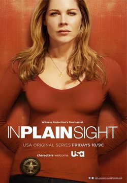 В простом виде (На виду) — In Plain Sight (2008-2012) 1,2,3,4,5 сезоны