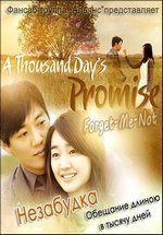 Обещание в тысячу дней — A Thousand Days Promise (2011)