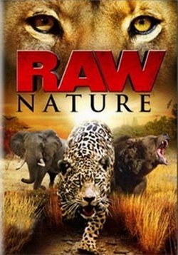 Дикая природа — Raw Nature (2014)