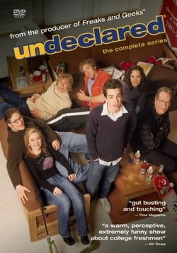 Неопределившиеся — Undeclared (2001-2002)
