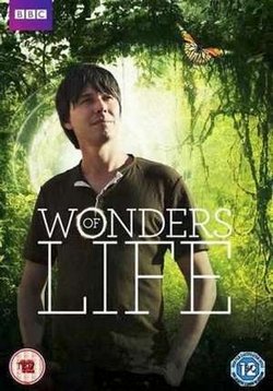Чудеса жизни — Wonders of Life (2013)