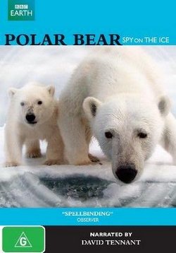 Белый медведь - Шпион во льдах — Polar Bear - Spy on the Ice (2010)
