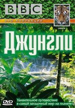 Джунгли — Jungle (2003)