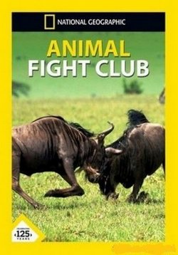 Бойцовский клуб для животных — Animal Fight Club (2013-2018) 1,2,3,4,5,6 сезоны