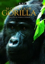 Горная горилла — Mountain Gorilla (2010)