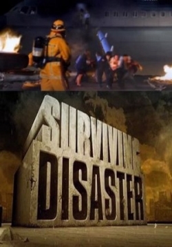 Выжить в катастрофе — Surviving Disaster (2009)