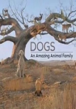 Удивительное семейство псовых — Dogs - An amazing animal family (2017)