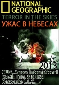Ужас в небесах — Terror in the skies (2014)