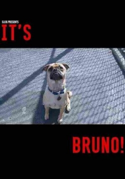Это Бруно — It’s Bruno (2019)