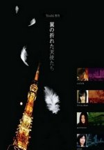 Падшие ангелы (Ангелы, Потерявшие Крылья) — Tsubasa no Oreta Tenshitachi (2006-2007) 1,2 сезоны