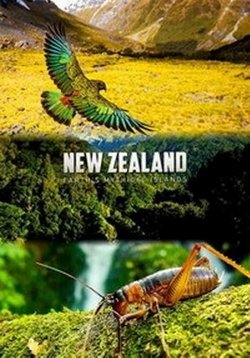Дикая природа Новой Зеландии — Wild New Zealand (2016)