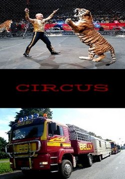 Цирк — Circus (2011)