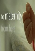 Место где становятся родителями — From Here To Maternity (2007)