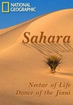 Сахара — Sahara (2007)