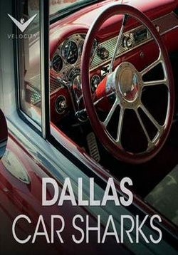 Акулы автоторгов из Далласа — Dallas Car Sharks (2013-2014) 1,2 сезоны