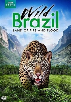 Дикая Бразилия — Wild Brazil (2015)
