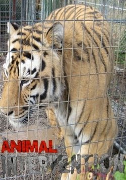 Жизнь в неволе (Дикие животные в неволе) — Animal Intervention (2012)