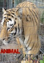 Жизнь в неволе (Дикие животные в неволе) — Animal Intervention (2012)